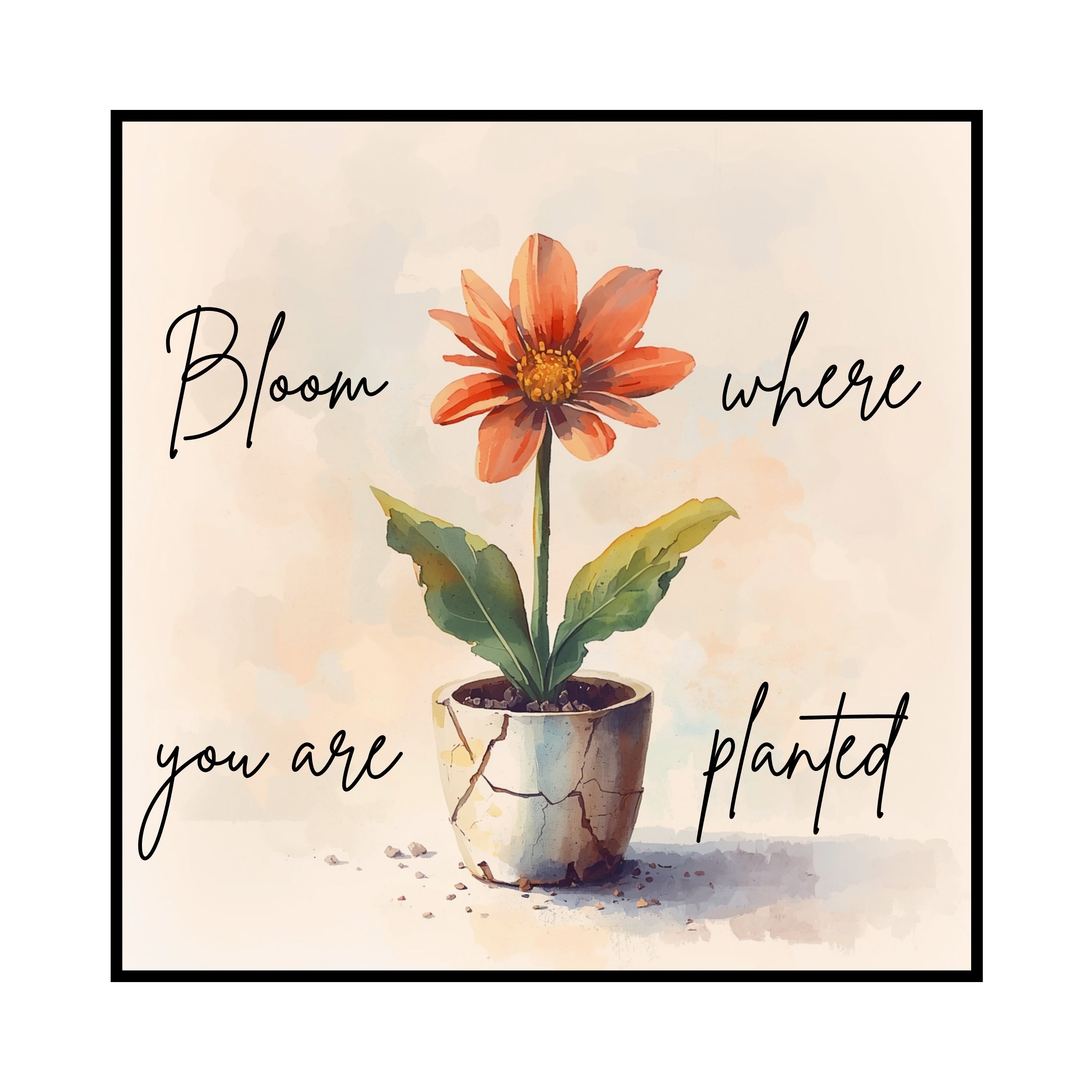 Bloom Where You Are Planted